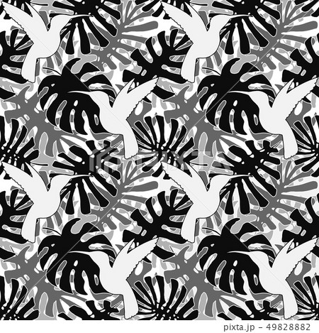 Vector tropical leaves seamless pattern. Endless texture with monstera leaf Vector tropical leaves seamless pattern. Endless texture with monstera leaf 49828882