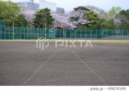 野球グランド 野球グランド 49829169