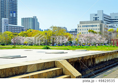 大阪　難波宮跡（なにわのみやあと） 49829535