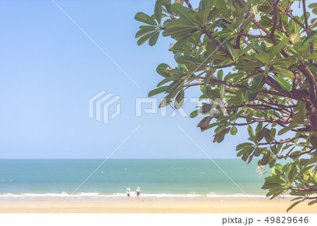 Sea beach in Thailand 49829646