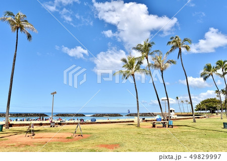 ハワイの休日 49829997