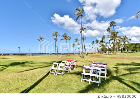 ハワイの休日 ハワイの休日 49830000