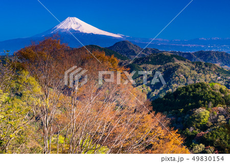 (静岡県)伊豆の国市・葛城山から望む、富士山 (静岡県)伊豆の国市・葛城山から望む、富士山 49830154