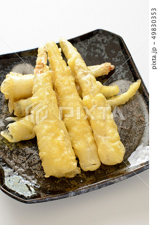 姫竹の天ぷら 49830353