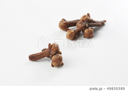 クローブ(香辛料)-Clove クローブ(香辛料)-Clove 49830389