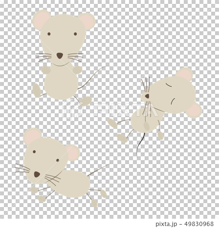 Illustration of three rats - Stock Illustration [49830968] - PIXTA