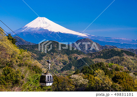 （静岡県）伊豆の国市・葛城山から望む、富士山 49831101