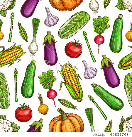 Vegetables and beans seamless pattern background 49831743
