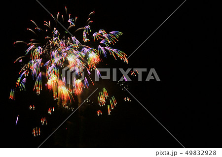 打ち上げ花火　虹色の千輪菊 49832928