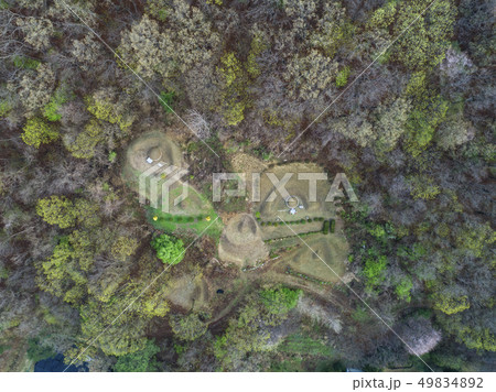 墓 酸素 春 49834892