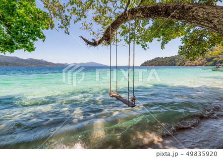 Wooden swing on tree in tropical sea Wooden swing on tree in tropical sea 49835920