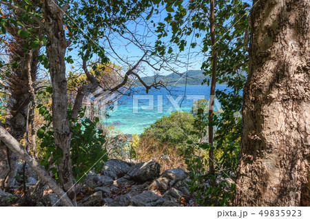 Trees and rocks with tropical sea 49835923