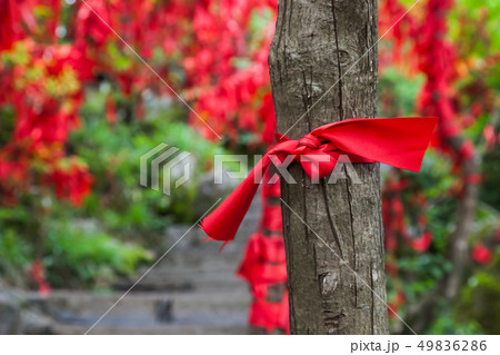 Red ribbons on pathway in Tianmenshan nature park 49836286