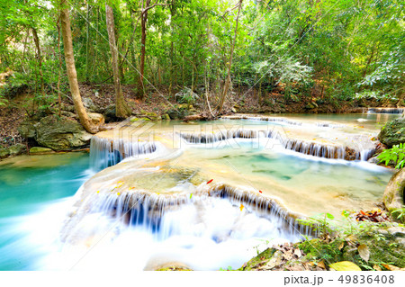 エラワン国立公園の清流 エラワン国立公園の清流 49836408