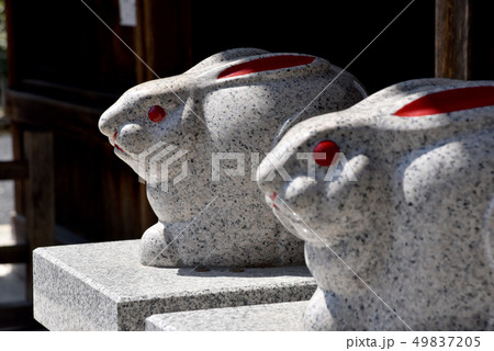三尾神社 うさぎの置物 三尾神社 うさぎの置物 49837205