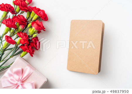 top view of carnation on white for mothers day top view of carnation on white for mothers day 49837950
