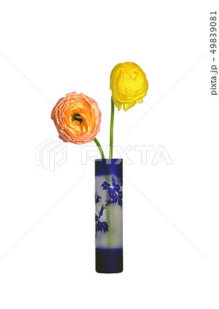 花びんのラナンキュラス 花びんのラナンキュラス 49839081