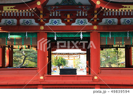 神奈川　湘南　鎌倉　鶴岡八幡宮　舞殿 49839594