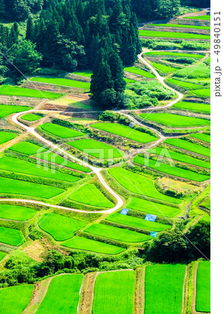 慶地の棚田 (7月) 慶地の棚田 (7月) 49840151