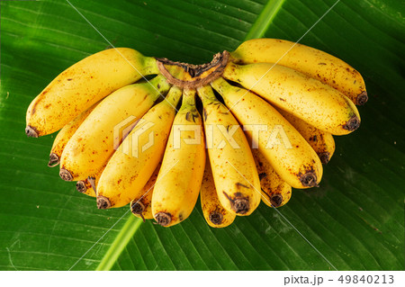 Bunch of fresh bananas on banana leaves 49840213