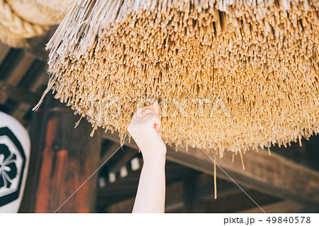 出雲大社の大注連縄    49840578