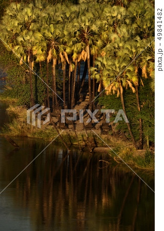 a beautiful view in namibia a beautiful view in namibia 49841482