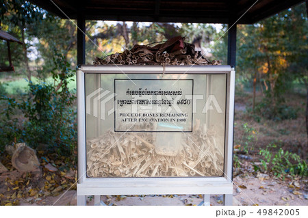 The Killing Fields of Choeung Ek in Phnom Penh 49842005