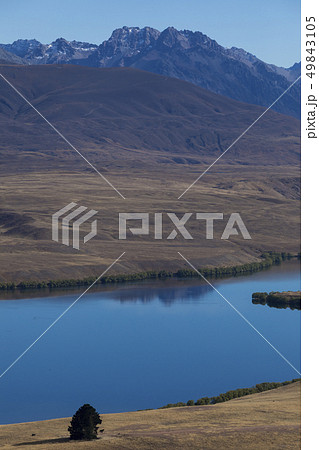 テカポ湖　ニュージーランドの絶景 49843105