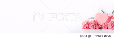 カーネーション ハマナデシコ 花 49843650