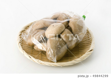 椎茸 袋入り 49844299