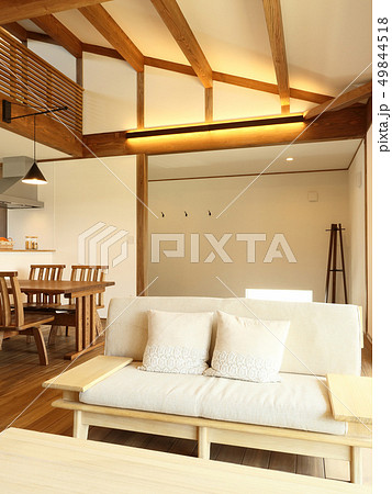 ペット同居型デザイナーズ住宅のお洒落なリビング  49844518