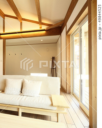 ペット同居型デザイナーズ住宅のお洒落なリビング ペット同居型デザイナーズ住宅のお洒落なリビング 49844525