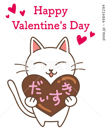 猫とチョコ 49845294