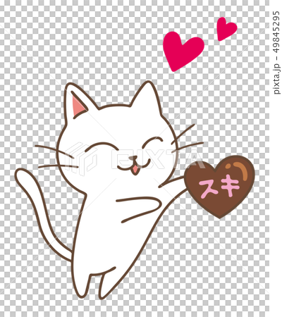 猫とチョコ 49845295