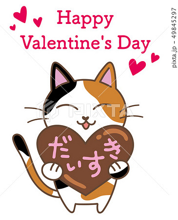 猫とチョコ 49845297