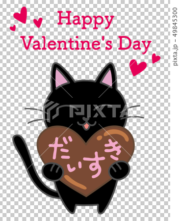 Cat and chocolate Cat and chocolate 49845300