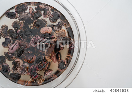 紫花豆 紅花インゲン 紫花豆 紅花インゲン 49845638
