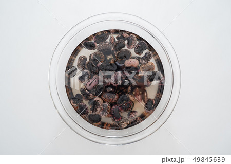 紫花豆 紅花インゲン 紫花豆 紅花インゲン 49845639