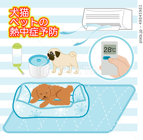 犬猫ペットの熱中症 夏バテ対策グッズのイラスト素材