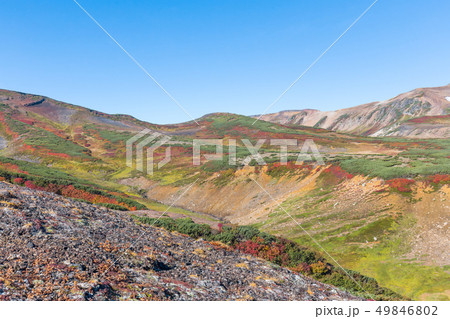 大雪山　紅葉 49846802