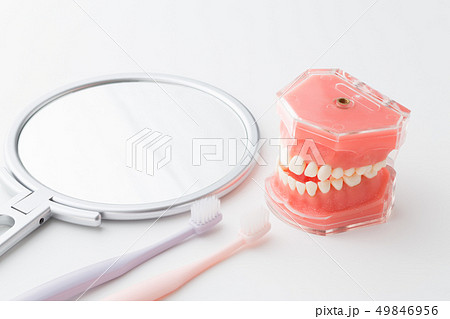 ハミガキ 49846956