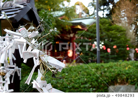 神社境内のおみくじ 神社境内のおみくじ 49848293