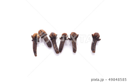 dry cloves on white background dry cloves on white background 49848585
