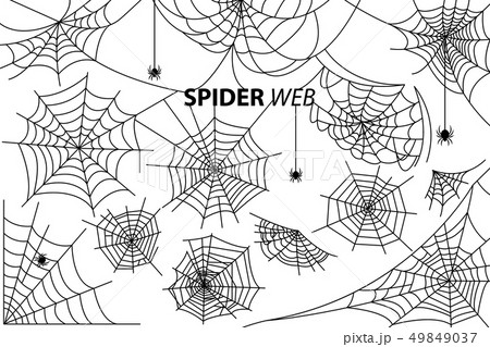 Spider Web Collection of Illustrations on Whiteのイラスト素材