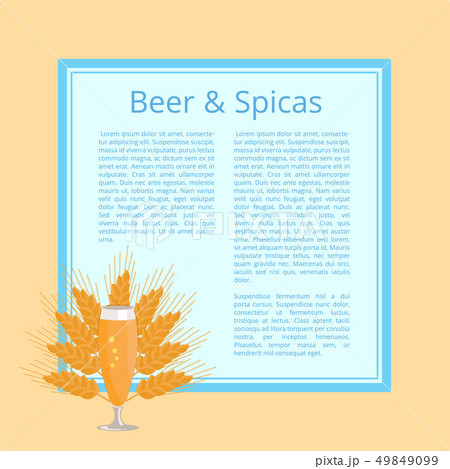 Beer and Spices Poster with Pilsner Glass Vector Beer and Spices Poster with Pilsner Glass Vector 49849099