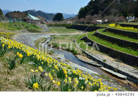 大宇陀の風景 49849293