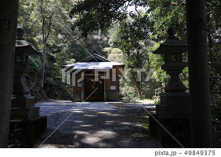 尾高智神社 尾高智神社 49849375