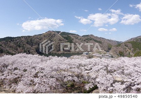 十王パノラマ公園2 十王パノラマ公園2 49850540