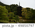 国宝瑠璃光寺五重塔 49850797
