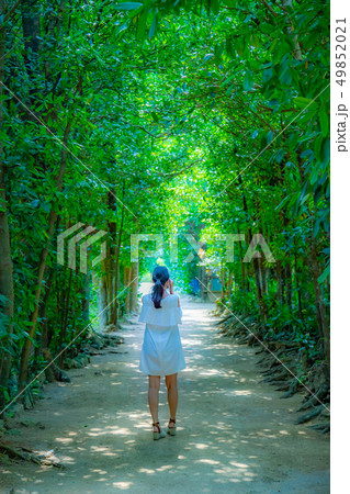 沖縄の景色 49852021